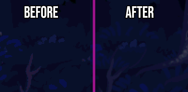 forestzoom.png